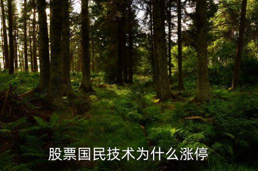 股票国民技术为什么涨停