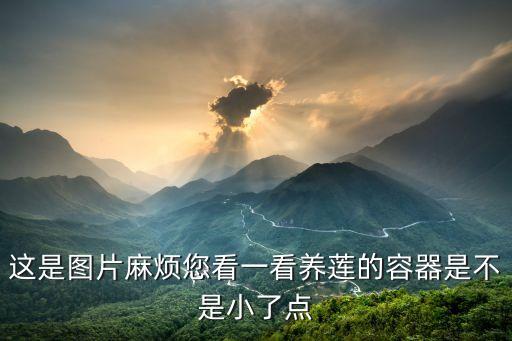睡莲图片大全大图，关于睡莲的图片