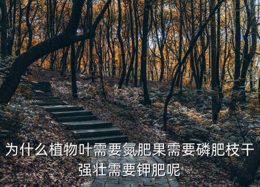为什么植物叶需要氮肥果需要磷肥枝干强壮需要钾肥呢