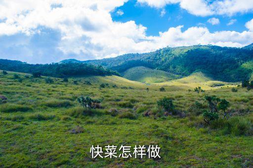 快菜怎样做