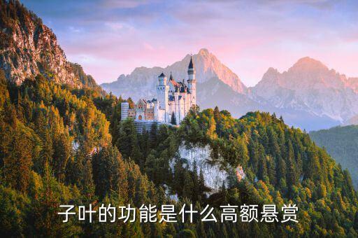 子叶的作用，玉米种子中子叶的作用是什么