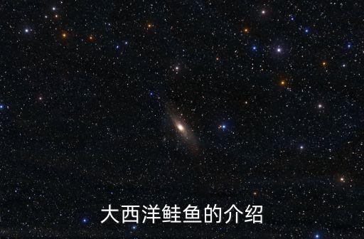 大西洋鲑鱼的介绍