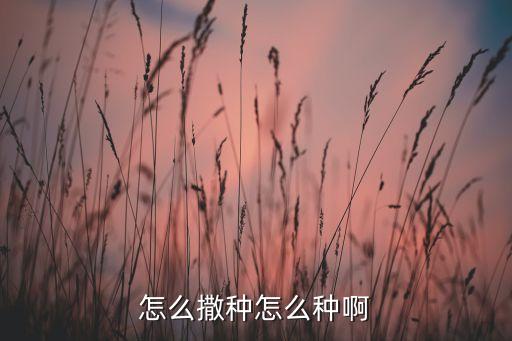 怎么撒种怎么种啊