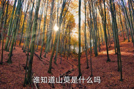 谁知道山萸是什么吗