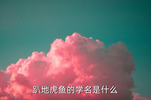 爬地虎鱼，趴地虎鱼的学名是什么