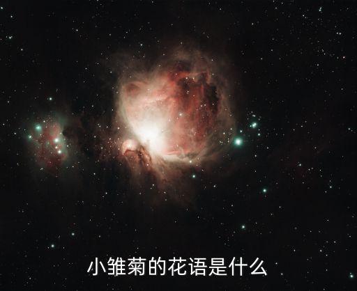 小雏菊寓意，可爱的小雏菊花语是什么