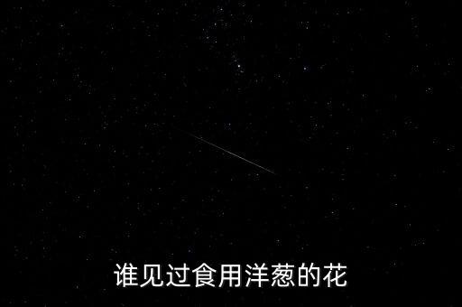 谁见过食用洋葱的花