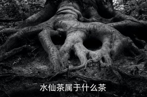 水仙茶，水仙茶是什么茶 水仙茶属于什么茶