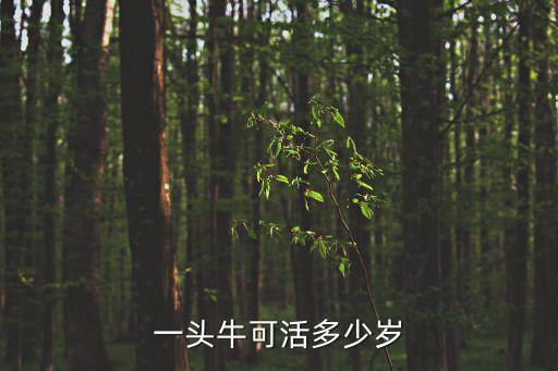 牛寿命，牛的寿命多久