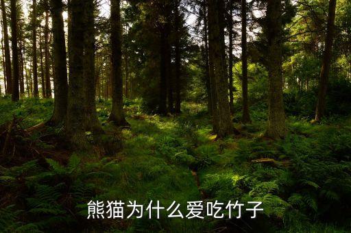 熊猫为什么爱吃竹子