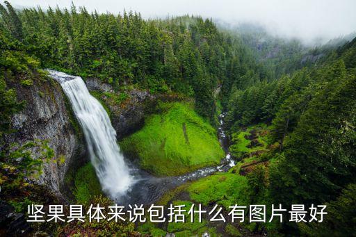 坚果具体来说包括什么有图片最好