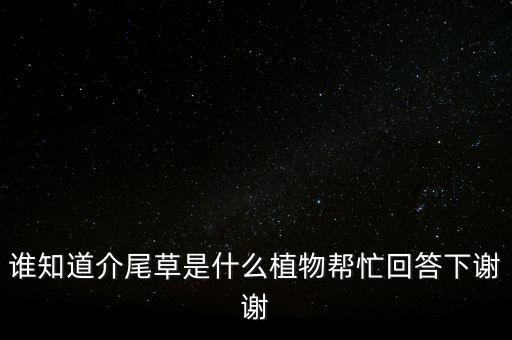 兔尾草，这种草叫什么名字吖