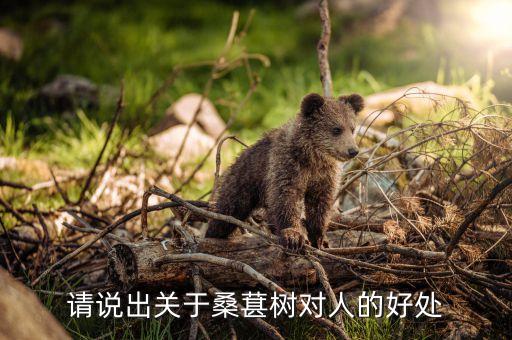 桑果树，桑果树别砍的只有根了还能不能活