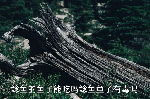 鲶鱼的鱼子能吃吗鲶鱼鱼子有毒吗