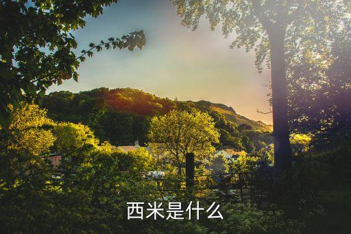 西米是什么