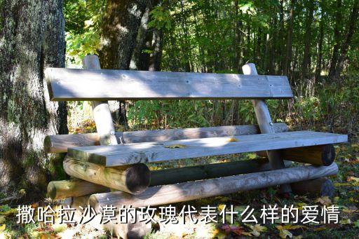 撒哈拉沙漠的玫瑰代表什么样的爱情