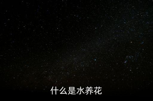 水培技术，如何更好的培养水培