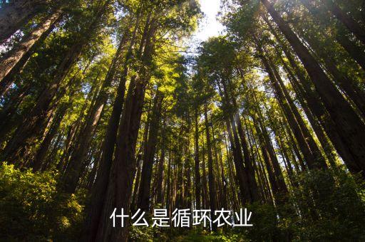 什么是循环农业