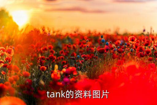 黄藤图片，tank的资料图片