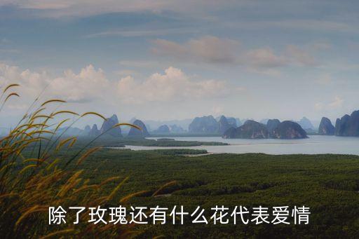 除了玫瑰还有什么花代表爱情