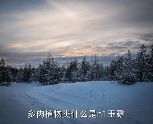 多肉植物类什么是n1玉露