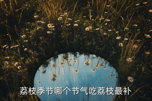 荔枝季节哪个节气吃荔枝最补