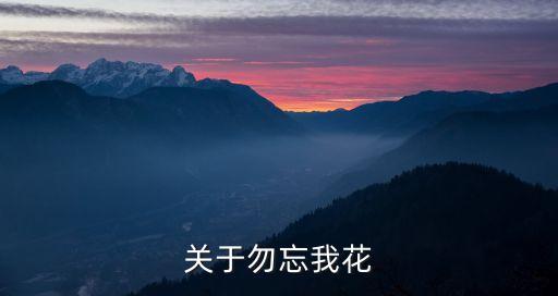 关于勿忘我花