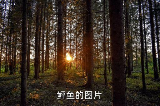 蠼螋图片，有蛤蚧的图片吗长什么样子的