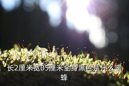 黑色的蜂是什么蜂，蜜蜂里面的黑蜂是什么蜂