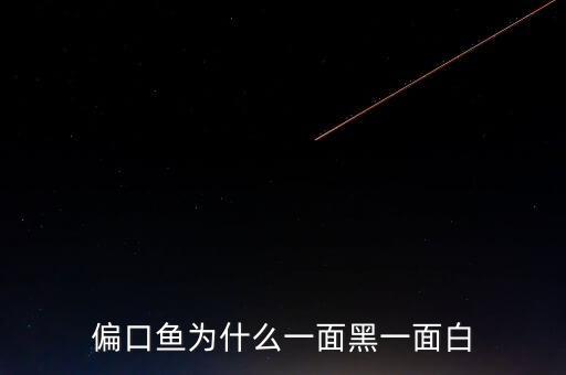偏口鱼，偏口鱼为什么一面黑一面白