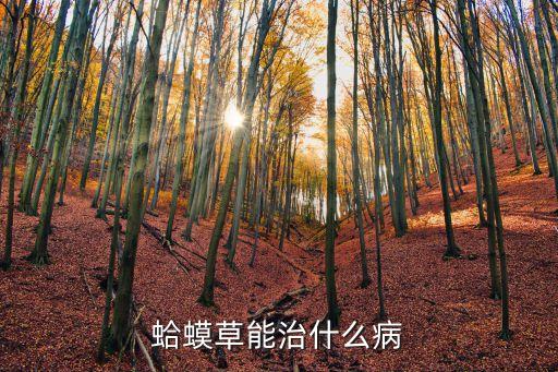 蛤蟆草的用途，农村常说的蛤蟆草有什么用途