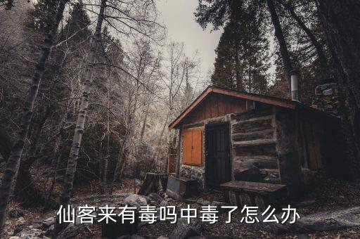 仙客来有毒吗，仙客来花是否有毒