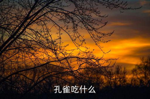 孔雀吃啥，孔雀吃什么