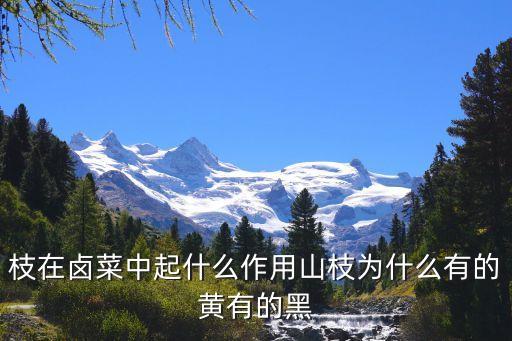 山枝，什么叫山枝木