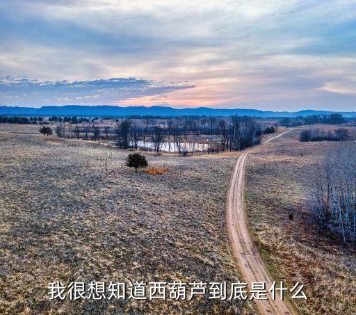 我很想知道西葫芦到底是什么