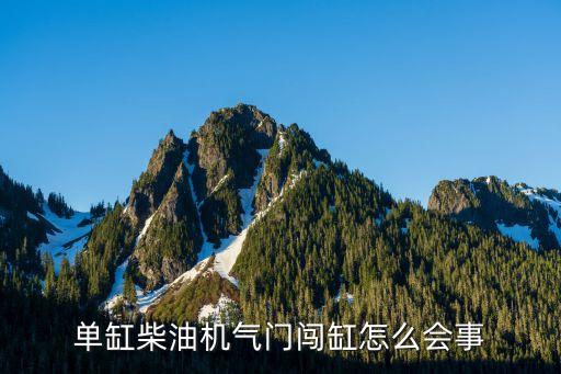 闯缸，闯缸鱼什么意思