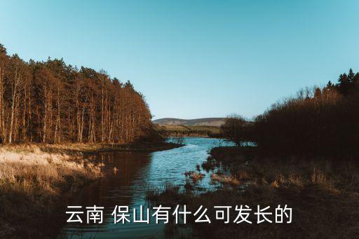 保山农业怎么发展，云南 保山有什么可发长的