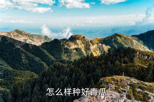 黄瓜的种植方法，怎样在花盆中培育黄瓜苗