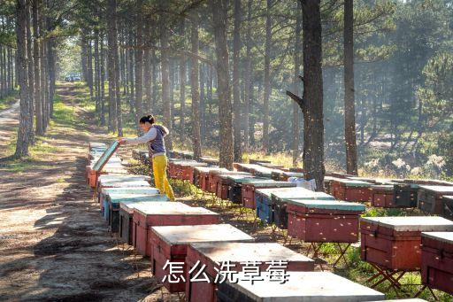 怎么洗草莓