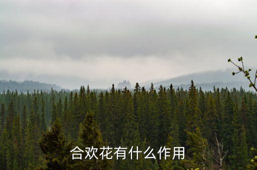 合欢花的功效与作用，合欢花的功效与作用