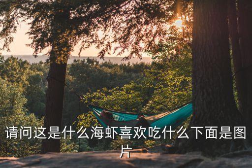 草虾图片，请问这是什么海虾喜欢吃什么下面是图片