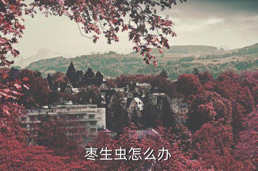 枣粘虫，怎样根治红枣卷叶虫