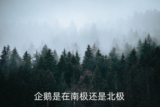 企鹅是在南极还是北极
