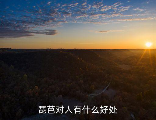 琵芭对人有什么好处