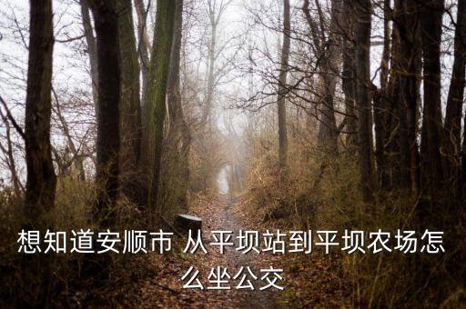 想知道安顺市 从平坝站到平坝农场怎么坐公交