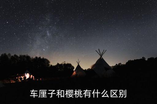 车厘子和樱桃有什么区别