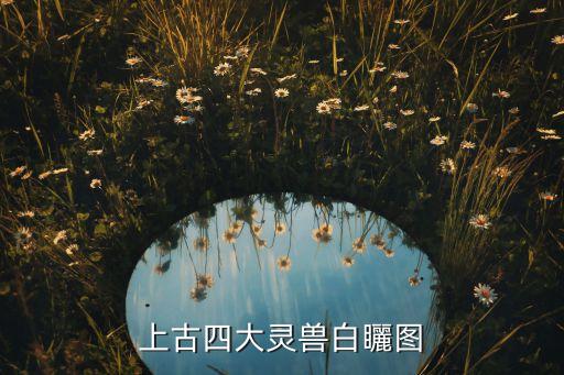 山奈图片，沙姜和山奈是不是一种东西