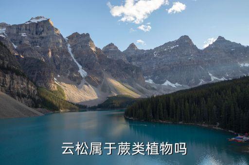 云松属于蕨类植物吗