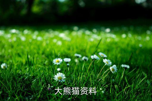 大能猫，大熊猫资料