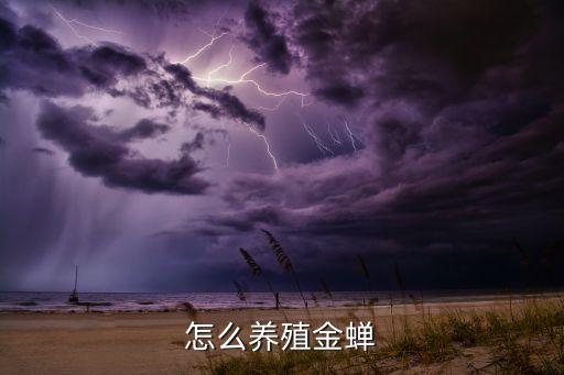 怎么养殖金蝉